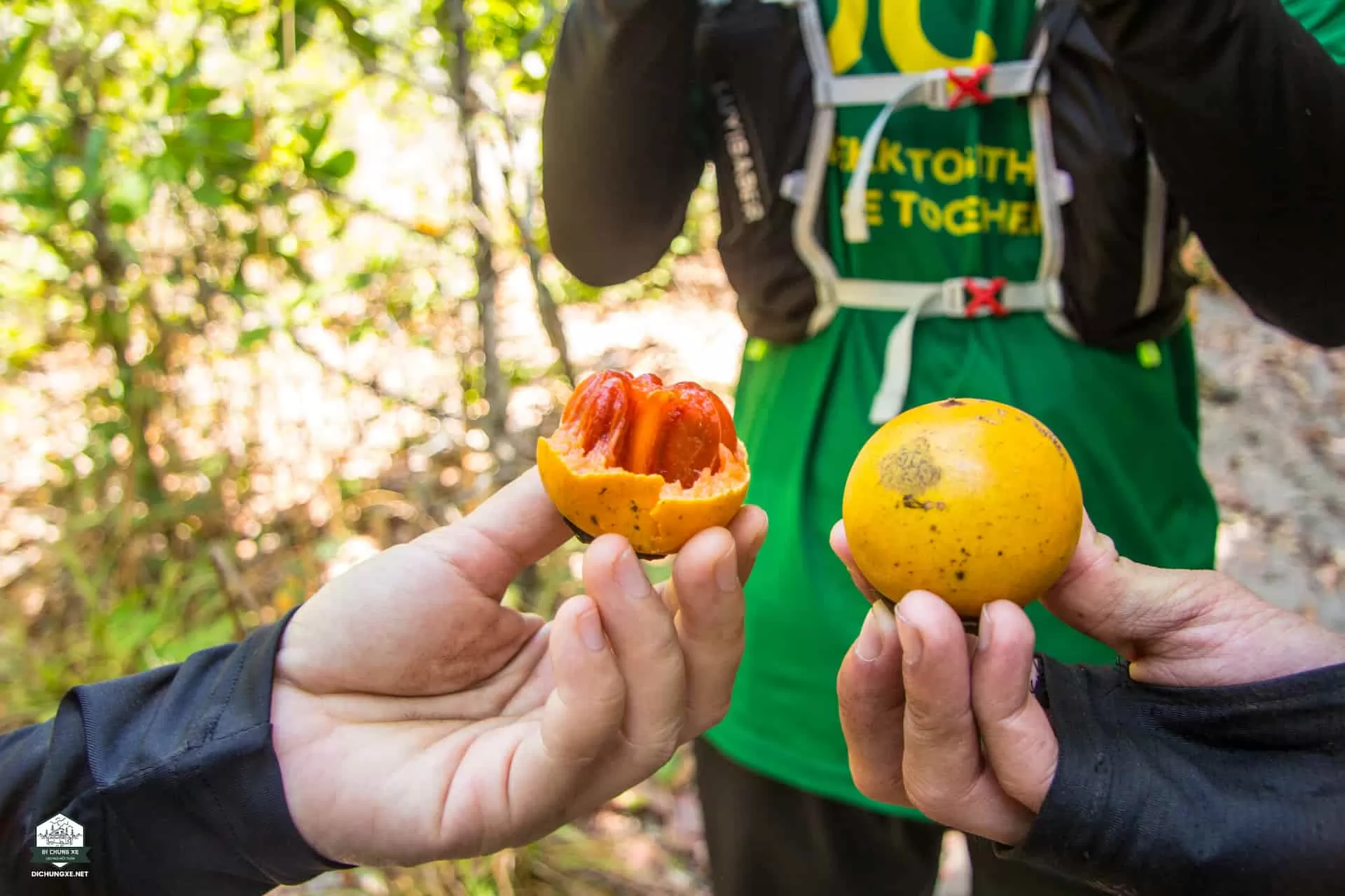 Rừng Phước Bửu - Biển Hồ Tràm